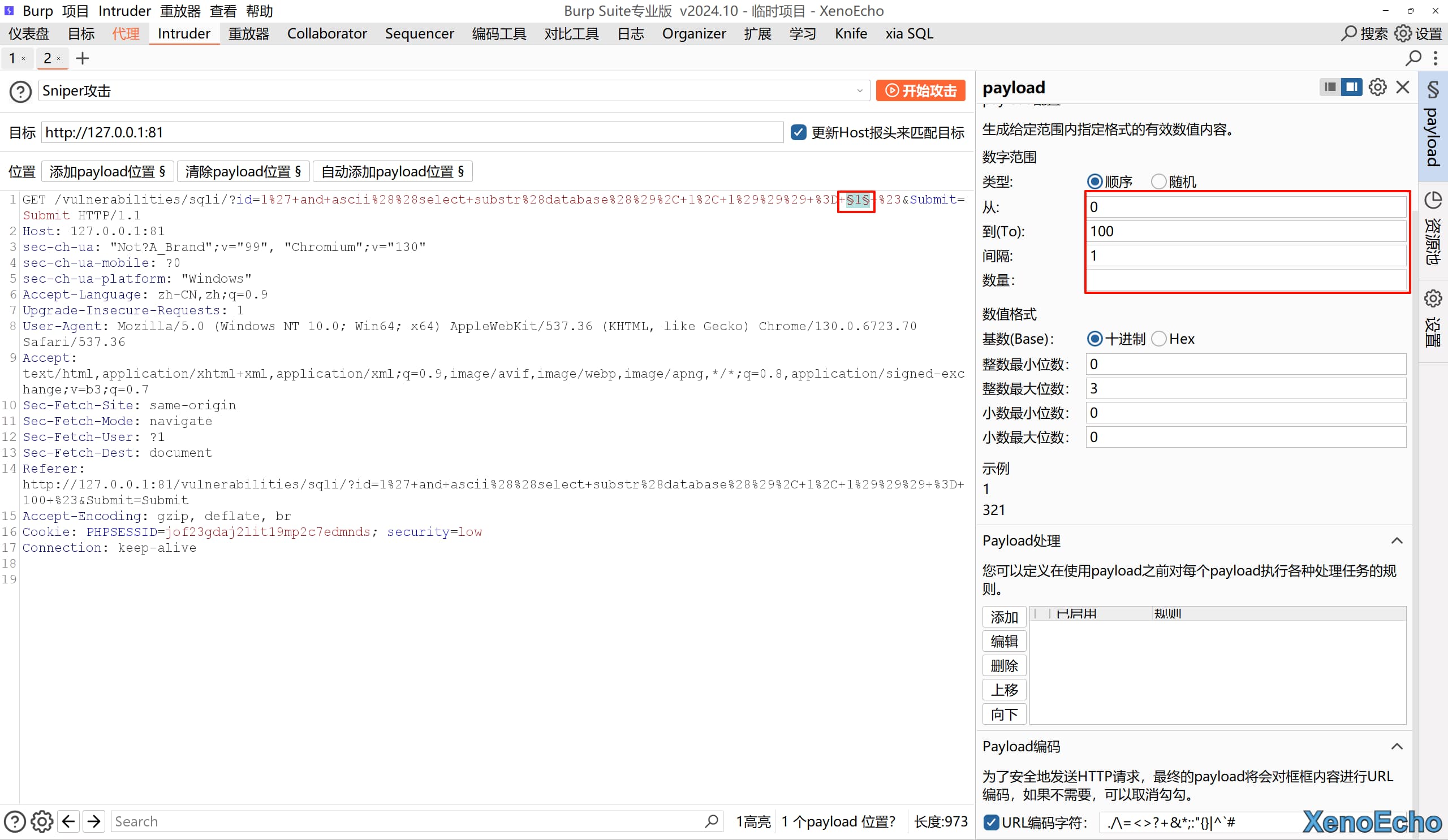 Pasted-image-20250117210520