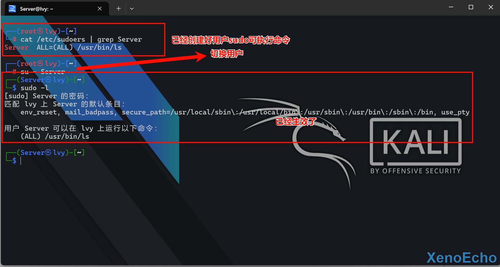 Pasted-image-20250120162533