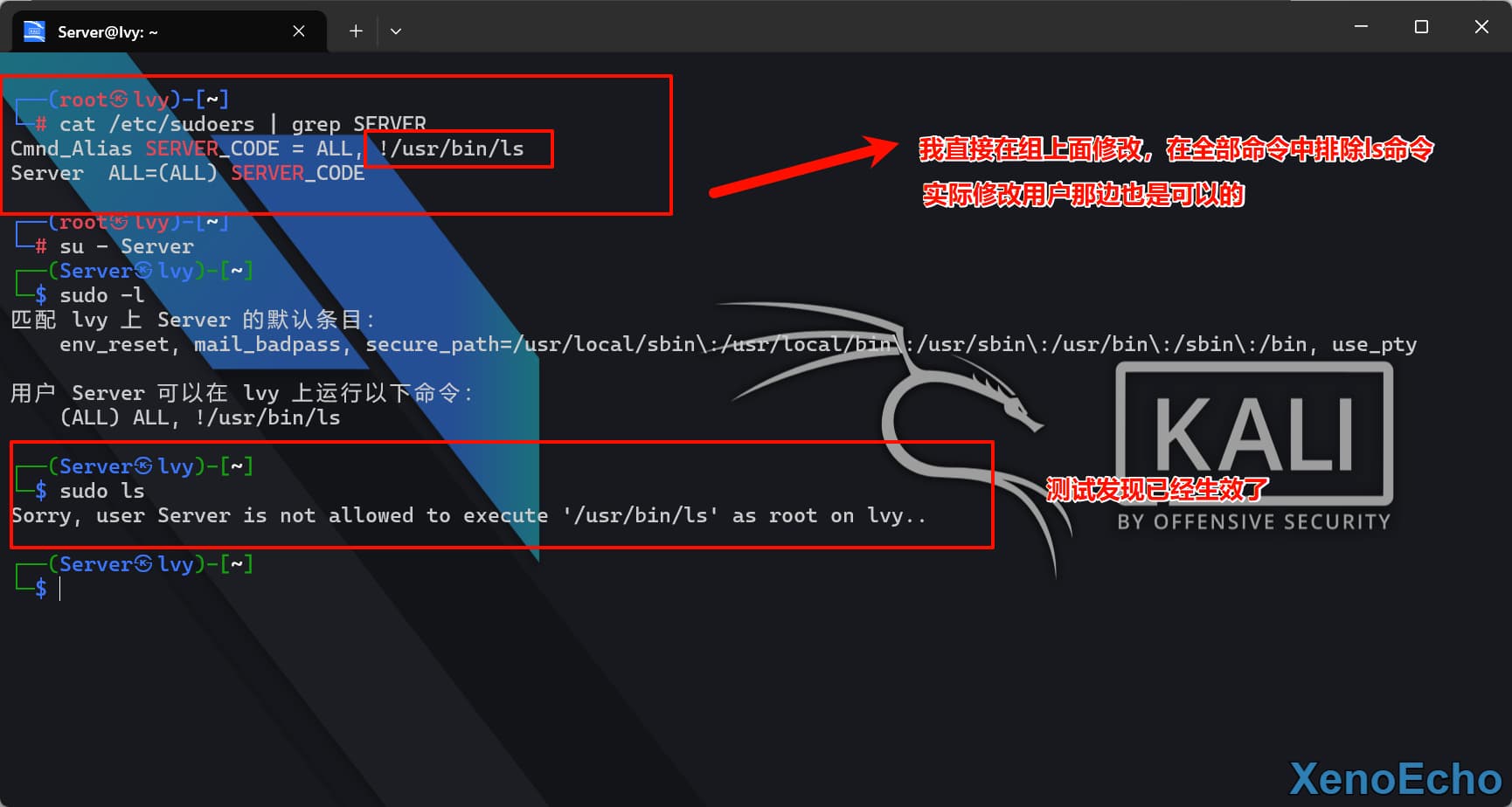 Pasted-image-20250120163233