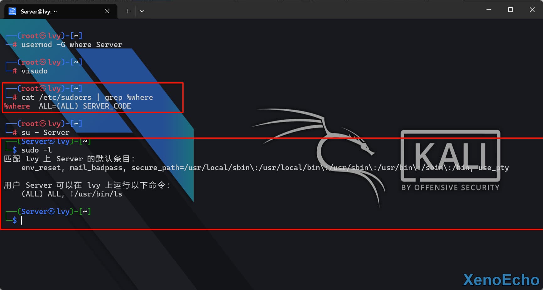 Pasted-image-20250120164111