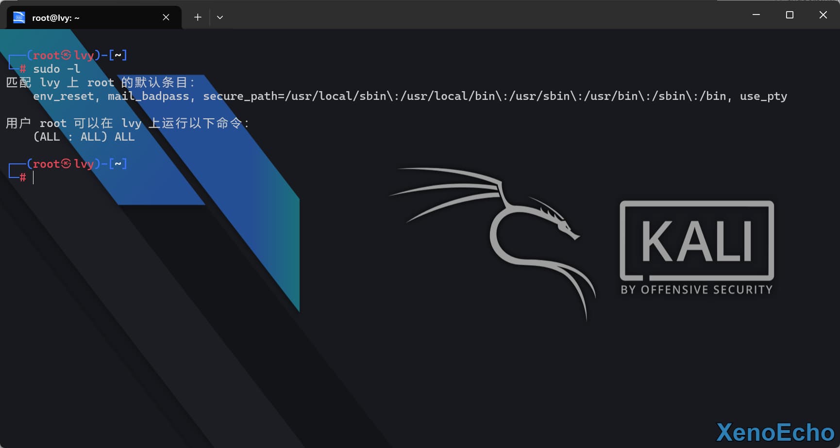 Pasted-image-20250120164635