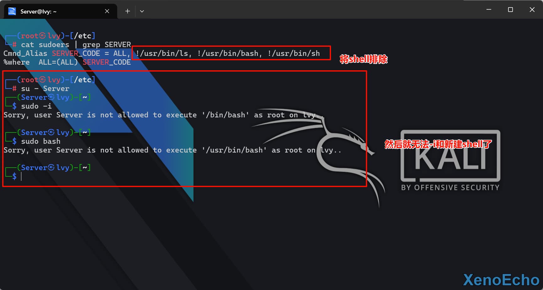 Pasted-image-20250120171544