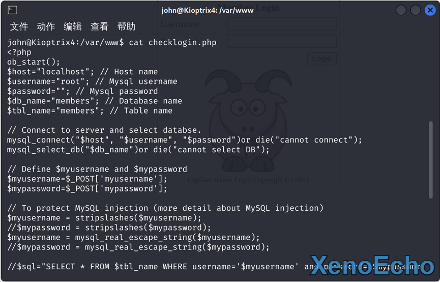 Pasted-image-20250130190449