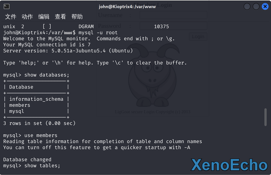 Pasted-image-20250130190502