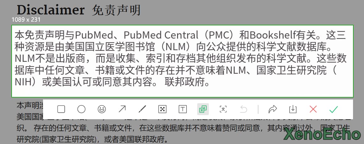 Pasted-image-20241229175333